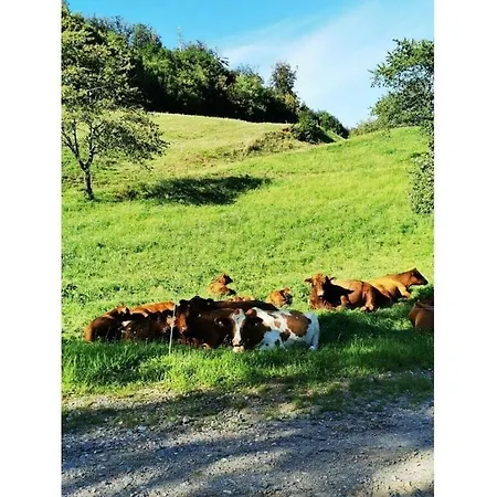 Eisenmann Holiday Farm בית נופש *
